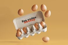 an egg carton with six eggs in it