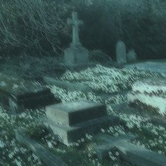 an old cemetery with white flowers in the foreground