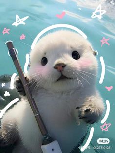 a baby seal is holding a stick in the water