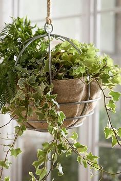 a hanging planter filled with green plants