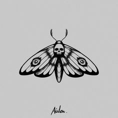 a black and white drawing of a moth with skull eyes on it's wings