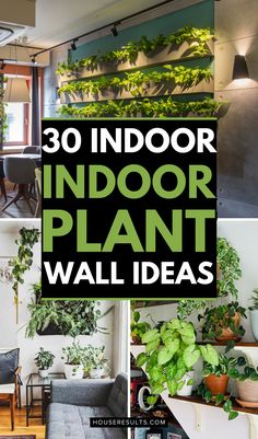 indoor plant wall ideas that are easy to do in the living room and kitchen area