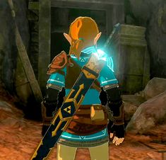 Calamity Link, Zelda Sleeve, Totk Link, Zelda Screenshots, Link Gif, Gaming Rooms, Elf Man