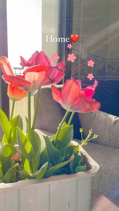 some pink flowers are in a white pot