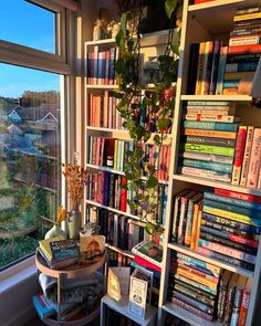 a bookshelf filled with lots of books next to a window covered in plants