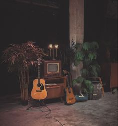 an old tv and guitar are sitting on the floor in front of a potted plant