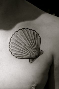 a black and white photo of a shell on the chest