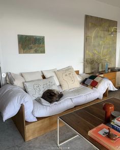 a cat laying on top of a couch in a living room