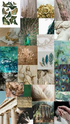 a collage of images with peacocks and feathers