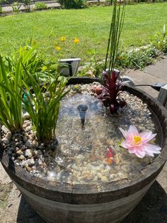 there is a water fountain with plants in it