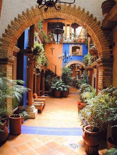 an archway leads into a courtyard with potted plants