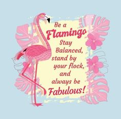 a pink flamingo standing in front of a blue background with the words be a flamingo stay balanced stand by your flock and always be fabulous