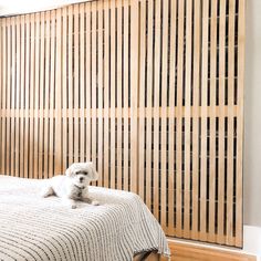 a white dog sitting on top of a bed next to a wooden slatted wall