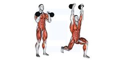 the muscles are shown in this image, and there is no image on it to describe