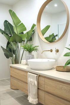 a white sink sitting under a round mirror next to a green plant in a bathroom