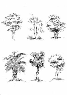 four different types of trees in black and white