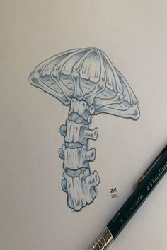 a pencil drawing of a mushroom on paper