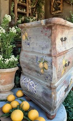 there are lemons sitting on the table next to an old chest and potted plants