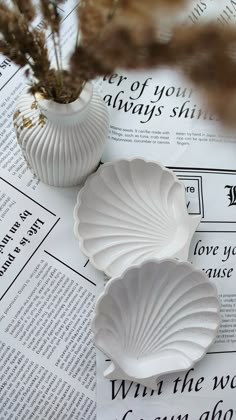 two white seashells sitting on top of an open book next to a plant