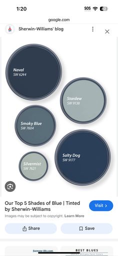 an image of the blue tinted paint colors in this website page, which is also available for