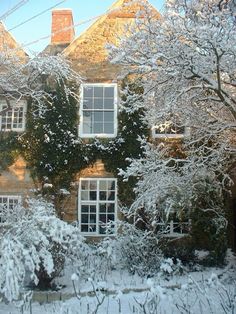 a house covered in snow next to trees and bushes with white flowers on the front