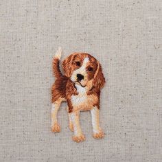 a small brown and white dog standing on top of a beige cloth covered floor next to a wall