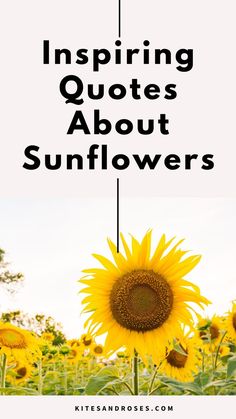 a sunflower with the words, inspireing quotes about sunflowers on it