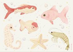 an image of sea animals in watercolor and ink on paper with bubbles around them