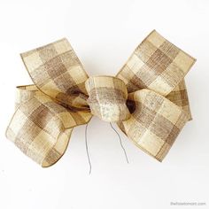 a close up of a bow on a white background