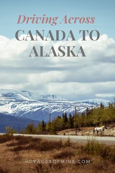 a road with the words driving across canada to alaska in front of snow capped mountains