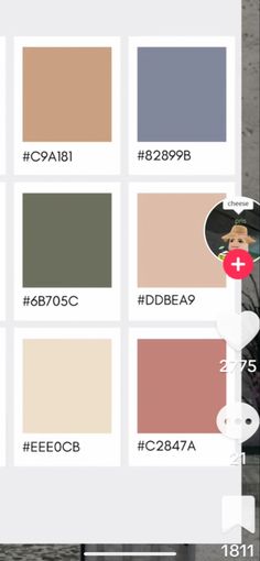 the color palettes are all different colors, but there is no image on them