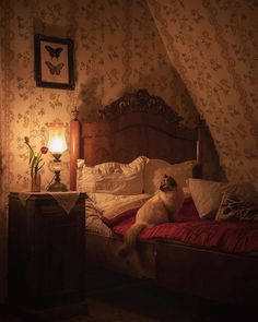 a dog sitting on top of a bed in a bedroom