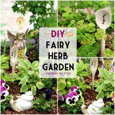 the garden is full of flowers and plants with words on them that read diy fairy herb garden