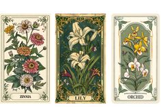 Flowers Tarot Card Png Tarot Cards, Creative Art, Orchids, Lily, Flowers, Art