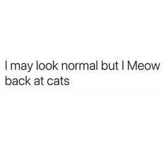 the text reads, i may look normal but i meow back at cats '