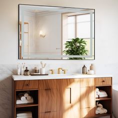 a bathroom with a large mirror above the sink and wooden cabinetry on the side