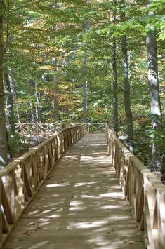 a wooden bridge in the middle of a forest