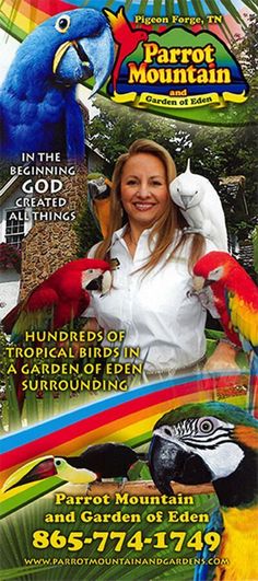 an advertisement for parrot mountain with a woman in white shirt and two colorful birds on her shoulder