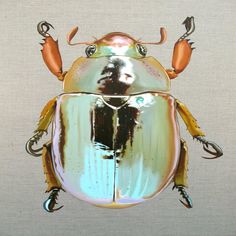 an image of a metallic bug on a gray background with orange legs and two large antennae