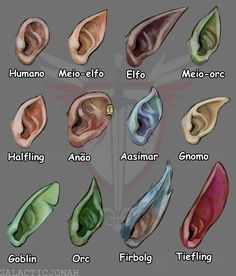 an image of different types of ear