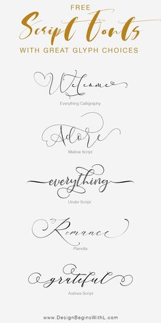 the different types of calligraphy are shown in this graphic style, and it is also available