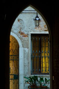 an arched doorway with a potted plant in the center and a light hanging above it