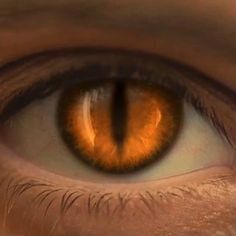 an orange cat's eye is shown in this close - up photo, with the iris partially visible