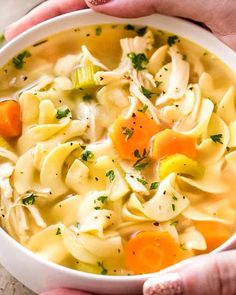 two hands holding a bowl of chicken noodle soup with carrots and celery