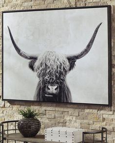 a cow with long horns is hanging on the wall