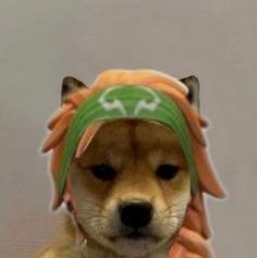 a dog wearing a hat and scarf with horns