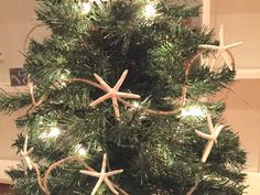 a christmas tree decorated with starfish lights