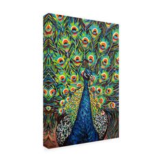 a painting of a peacock with feathers on it's back and its tail spread out