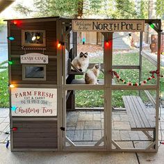 a chicken coop is decorated with christmas lights and signs on the sides, along with a cat sitting in it