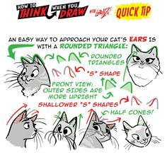 an easy way to approach your cats ears